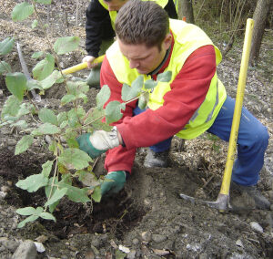 Les Brigades Nature du Rhône ont été retenues pour le Marathon de la Biodiversité de la Communauté de Communes Saône-Beaujolais