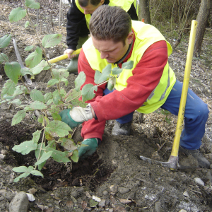 Les Brigades Nature du Rhône ont été retenues pour le Marathon de la Biodiversité de la Communauté de Communes Saône-Beaujolais