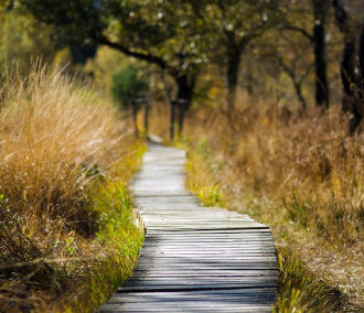 Entretien des espaces naturels sensibles et protégés