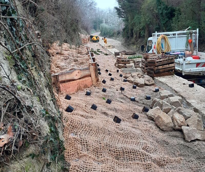 Chantier de plantation co-réalisé par les Brigades Nature Rhône