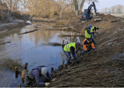 🌱 Chantier de génie végétal sur la rivière la Vauxonne à Saint-Georges-de-Reneins