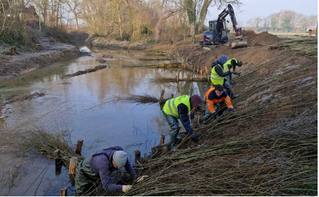 🌱 Chantier de génie végétal sur la rivière la Vauxonne à Saint-Georges-de-Reneins