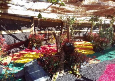 Avec les Brigades Vertes du Genevois, des jardins éphémères qui invitent la créativité dans l’espace public