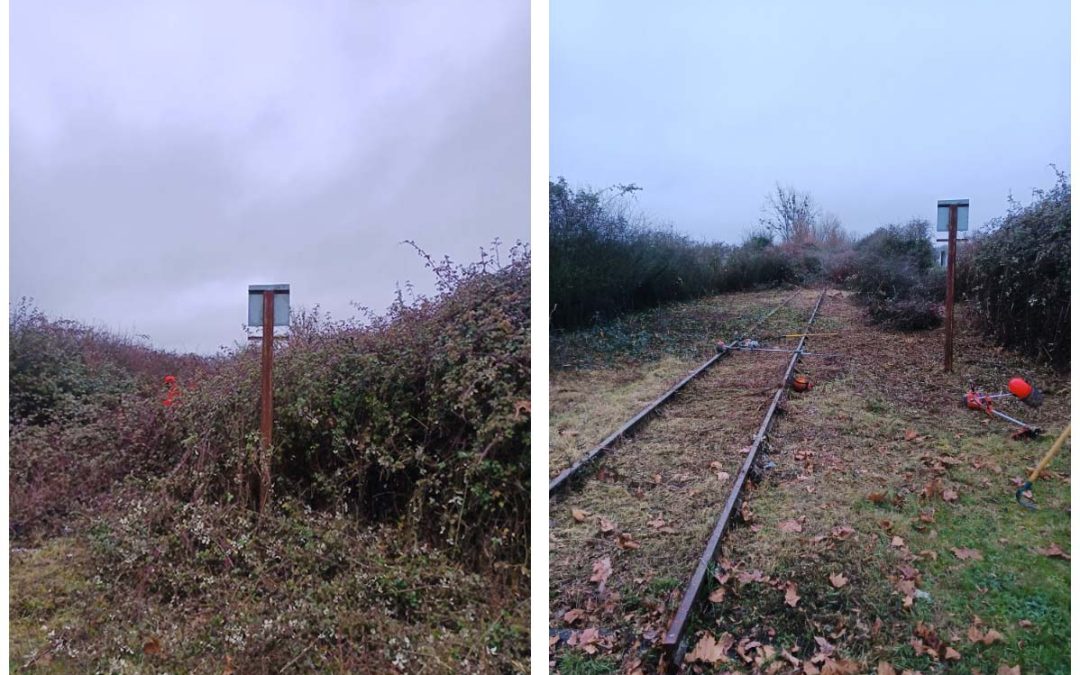 Compensation écologique : les Brigades Nature Indre-et-Loire interviennent pour la LGV Tours-Bordeaux