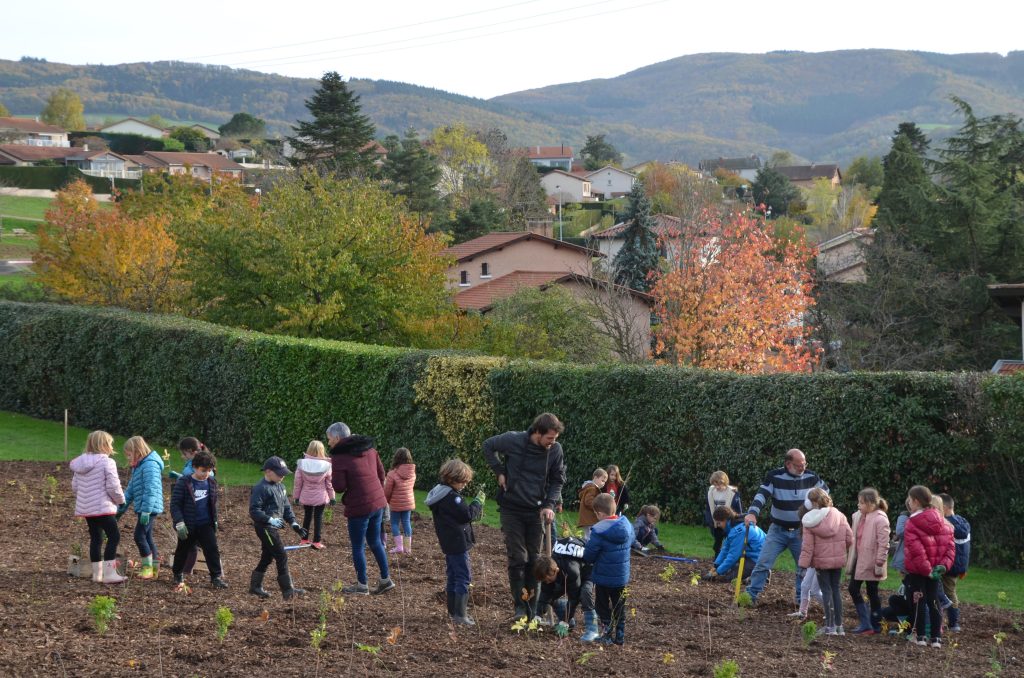 Plantation d'arbres et forêt urbaine : retour sur un chantier d'envergure dans le Rhône