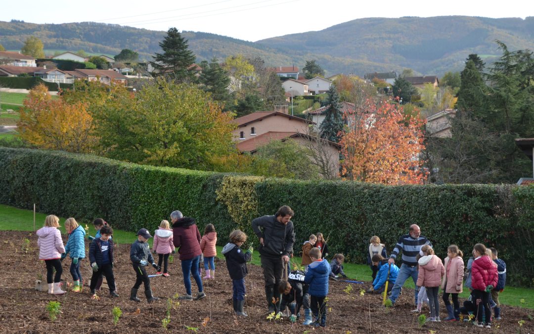 Plantation d&rsquo;arbres et forêt urbaine : retour sur un chantier d&rsquo;envergure dans le Rhône