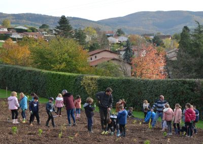Plantation d’arbres dans le Rhône