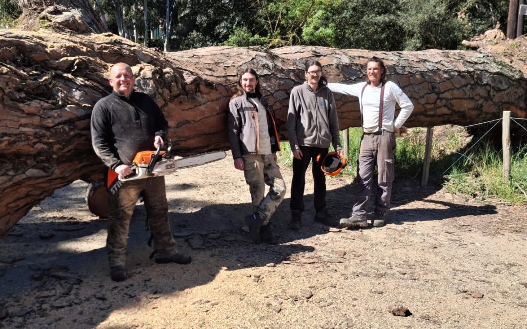 Interventions post‑tempêtes dans le Var : les Brigades Nature, acteurs clés de la sécurisation des territoires