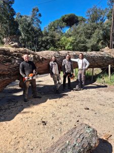 Brigades Nature Var - intervention chutes d'arbres