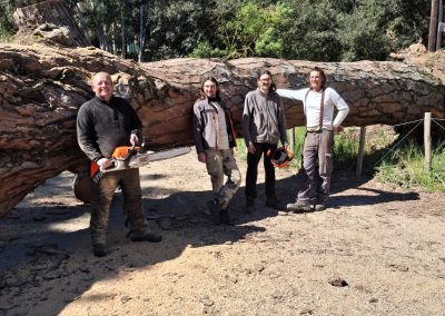 Interventions post‑tempêtes dans le Var : les Brigades Nature, acteurs clés de la sécurisation des territoires