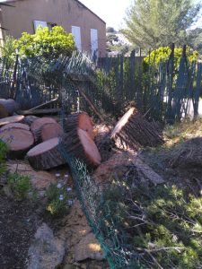 Brigades nature - coupe d'arbres tombés 