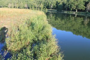 Brigades Nature - Le lac de Chemillé sur Indrois