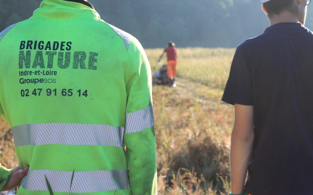 Chantier nature en Indre-et-Loire : les Brigades Nature replantent 50 000 végétaux au Lac de Chemillé-sur-Indrois