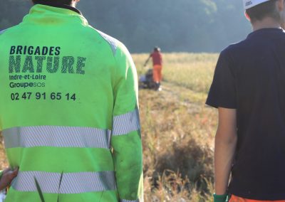 Chantier nature en Indre-et-Loire : les Brigades Nature replantent 50 000 végétaux au Lac de Chemillé-sur-Indrois
