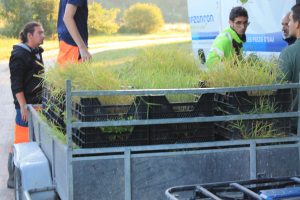 Brigades Nature - plants pour le lac de Chemillé sur Indrois
